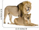 Lioness 8 Years Wall Decal