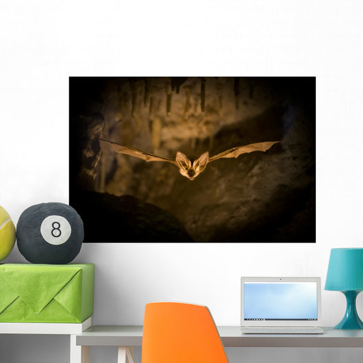 Bat Flight Wall Decal