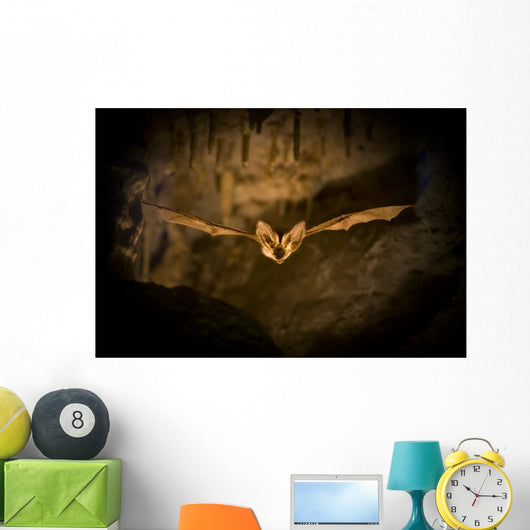 Bat Flight Wall Decal