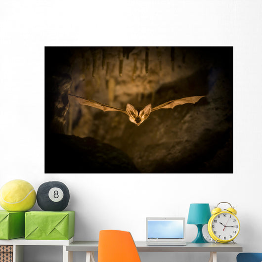 Bat Flight Wall Decal
