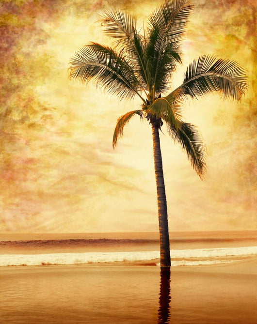 Sepia-toned Palm Tree Done Wall Decal