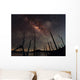 Milky Way and Trees Wall Decal