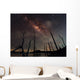 Milky Way and Trees Wall Decal