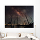 Milky Way and Trees Wall Decal