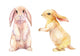 Sweet Watercolor Rabbits Wall Stickers