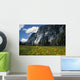 Beautiful Yosemite National Park Wall Decal