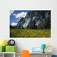 Beautiful Yosemite National Park Wall Decal