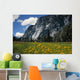 Beautiful Yosemite National Park Wall Decal