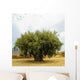 Ancient Olive Wall Decal