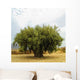 Ancient Olive Wall Decal