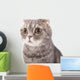 Portrait Surprised Cat Breed Wall Decal