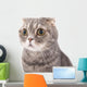 Portrait Surprised Cat Breed Wall Decal