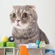 Portrait Surprised Cat Breed Wall Decal