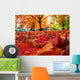 autumn leaves Wall Mural