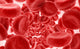 Blood Cells Wall Decal