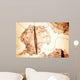 Antarctica Map and Compass Wall Decal