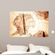 Antarctica Map and Compass Wall Decal