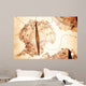 Antarctica Map and Compass Wall Decal