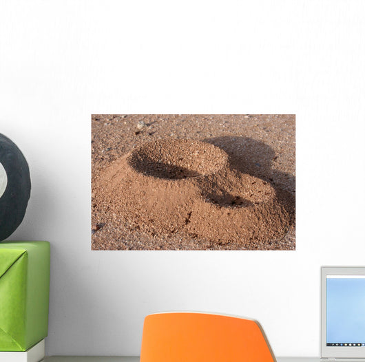 Anthill Wall Decal