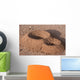 Anthill Wall Decal