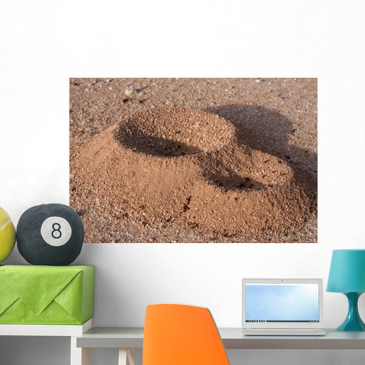 Anthill Wall Decal