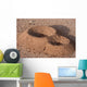 Anthill Wall Decal