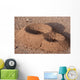 Anthill Wall Decal