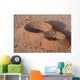 Anthill Wall Decal