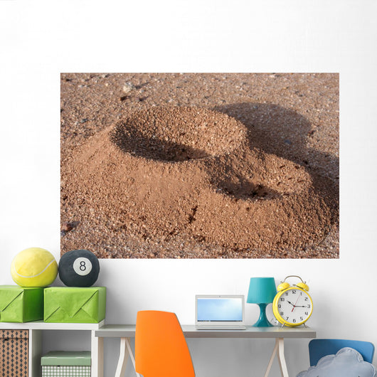 Anthill Wall Decal