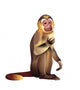 Monkey Illustration Close-up White Wall Decal