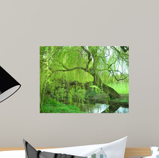 Weeping Willow Wall Decal