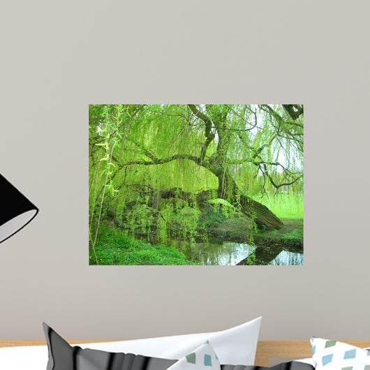 Weeping Willow Wall Decal