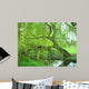 Weeping Willow Wall Decal