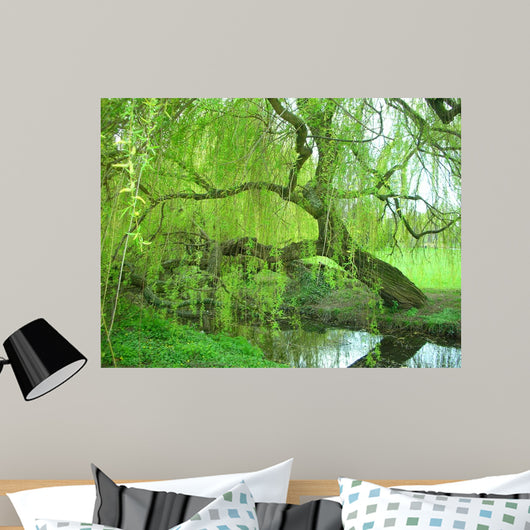 Weeping Willow Wall Decal