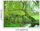 Weeping Willow Wall Decal