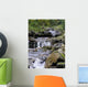 Carpathian Stream Wall Decal