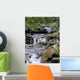 Carpathian Stream Wall Decal