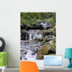 Carpathian Stream Wall Decal