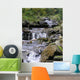 Carpathian Stream Wall Decal