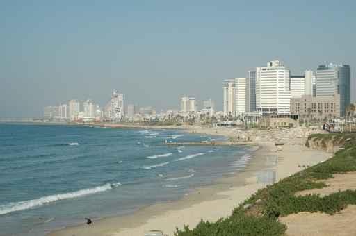 Tel Aviv Coastline Wall Mural