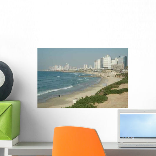 Tel Aviv Coastline Wall Mural