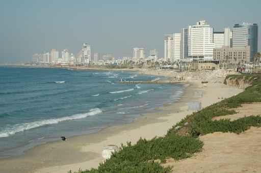 Tel Aviv Coastline Wall Mural