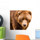 Brown Bear Close-up Portrait Wall Decal