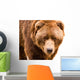 Brown Bear Close-up Portrait Wall Decal