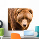 Brown Bear Close-up Portrait Wall Decal