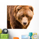 Brown Bear Close-up Portrait Wall Decal