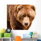Brown Bear Close-up Portrait Wall Decal