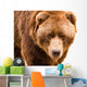 Brown Bear Close-up Portrait Wall Decal