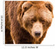 Brown Bear Close-up Portrait Wall Decal