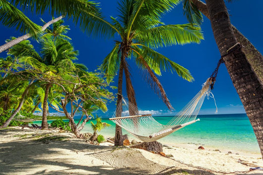 Empty Hammock Shade Palm Wall Decal